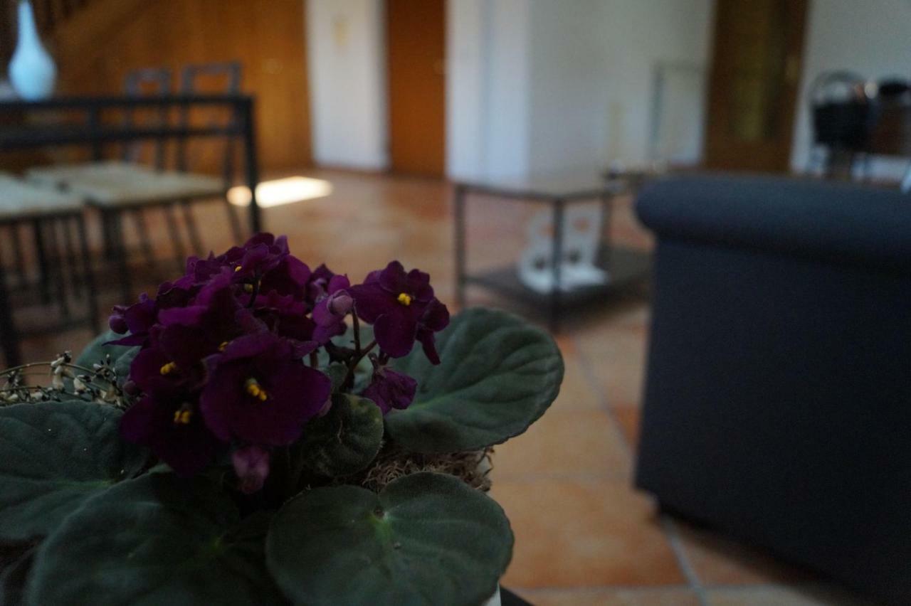 Bed and Breakfast Bonjour Bonheur Авеллино Экстерьер фото